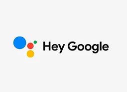 Google Assistant